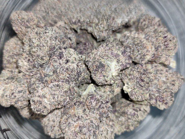 Apple Fritter clean Apple Fritter clean