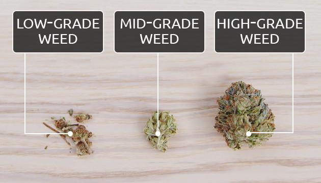 cannabis grades