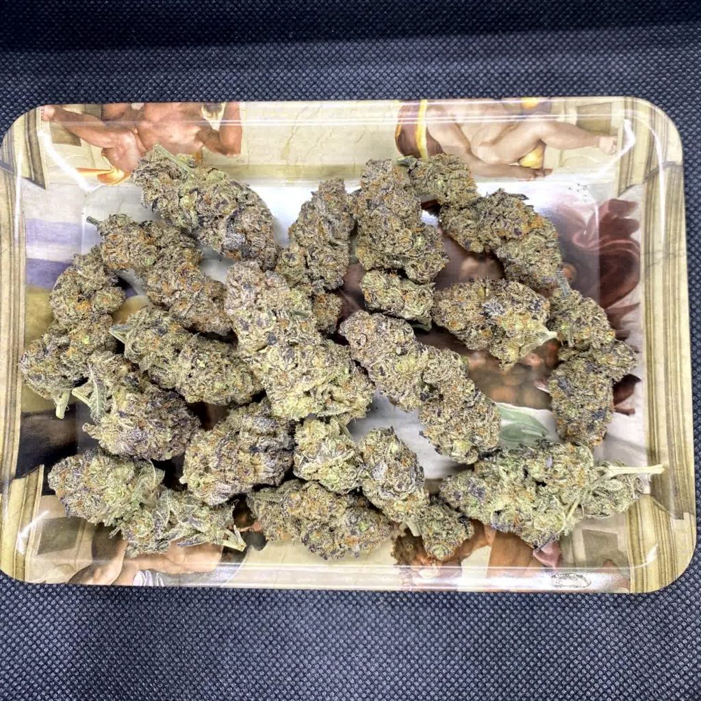 Buy Persian Pie Weed Strain in Phuket | Hi-Fly Delivery