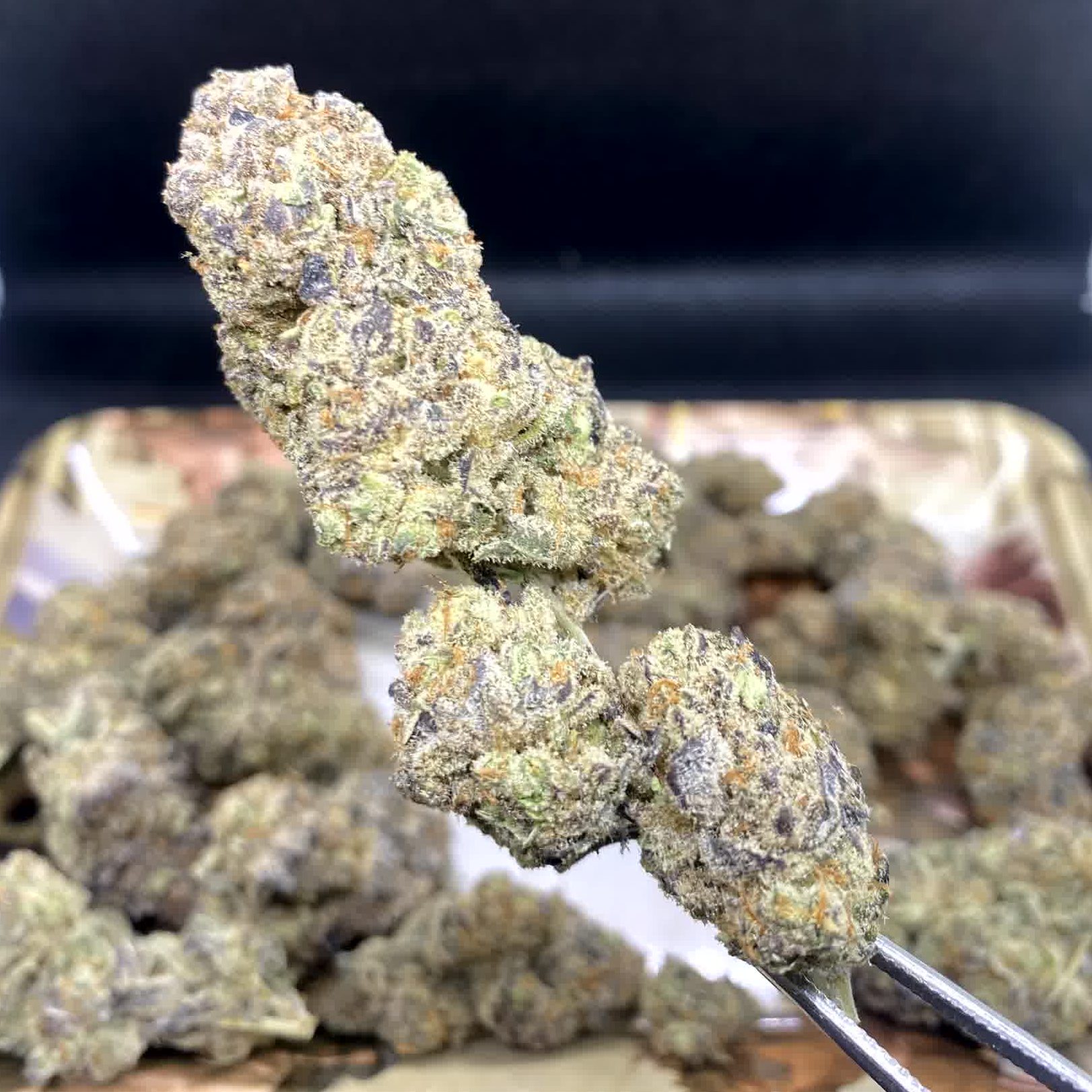 Persian Pie strain buy phuket