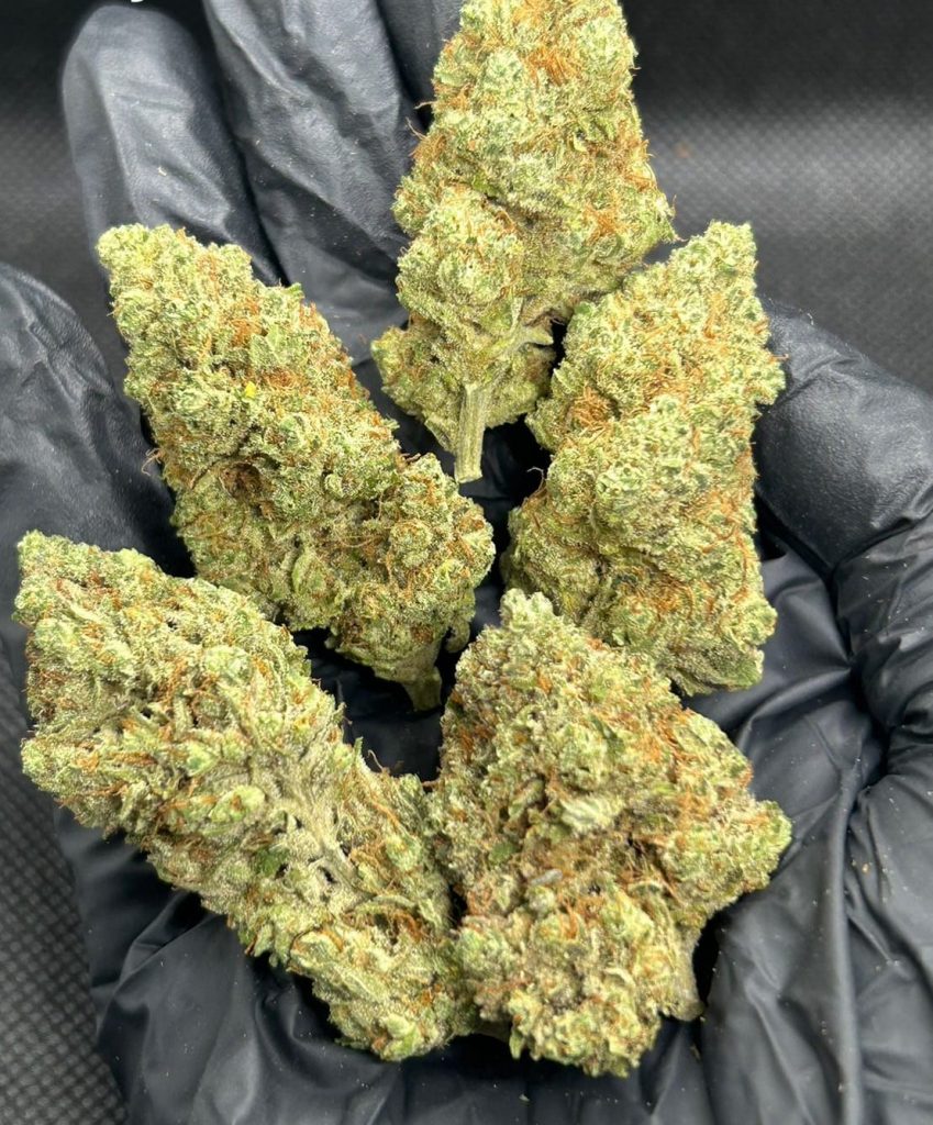 Royal Runtz Royal Runtz