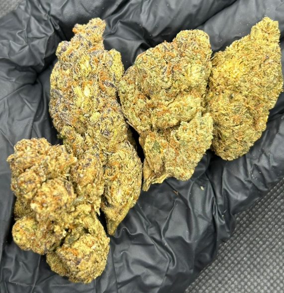 jet fuel gelato