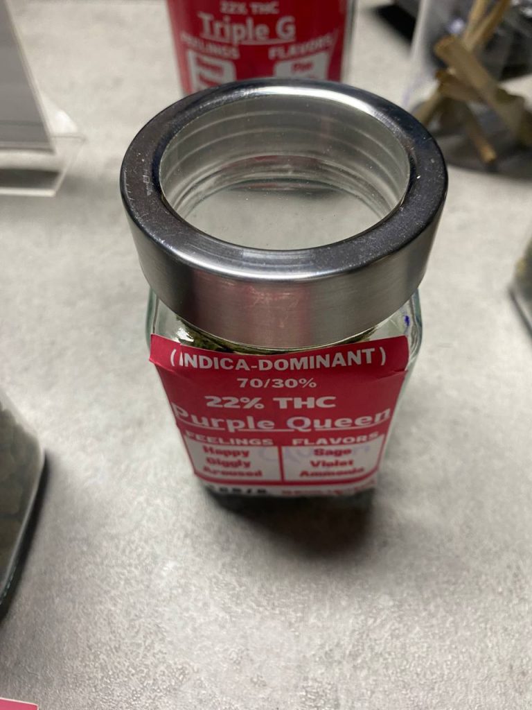 purple queen 1 purple queen 1