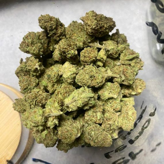 slh outdoor