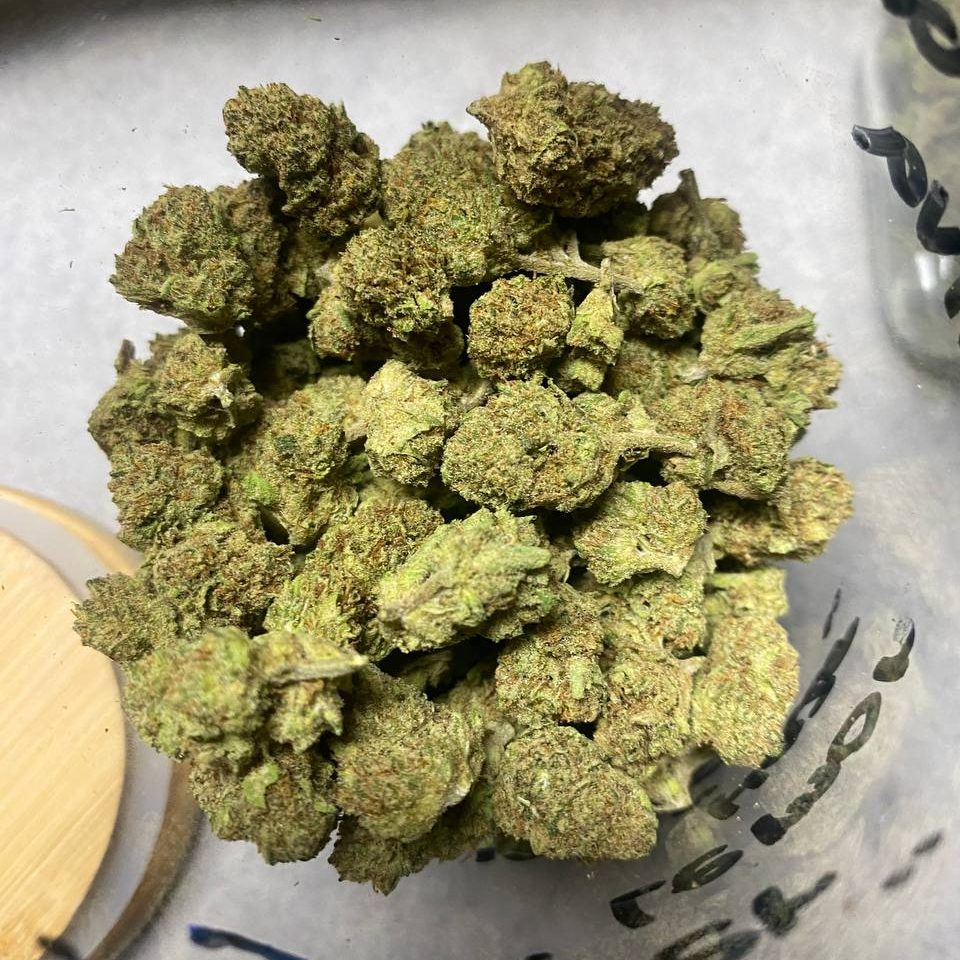 slh outdoor