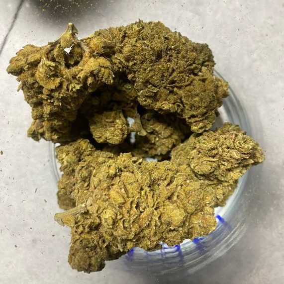 slurricane outdoor