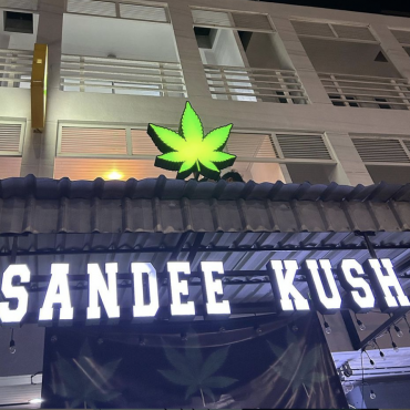 SanDee Kush