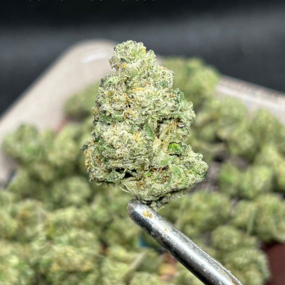 Platinum Kush Breath pop size