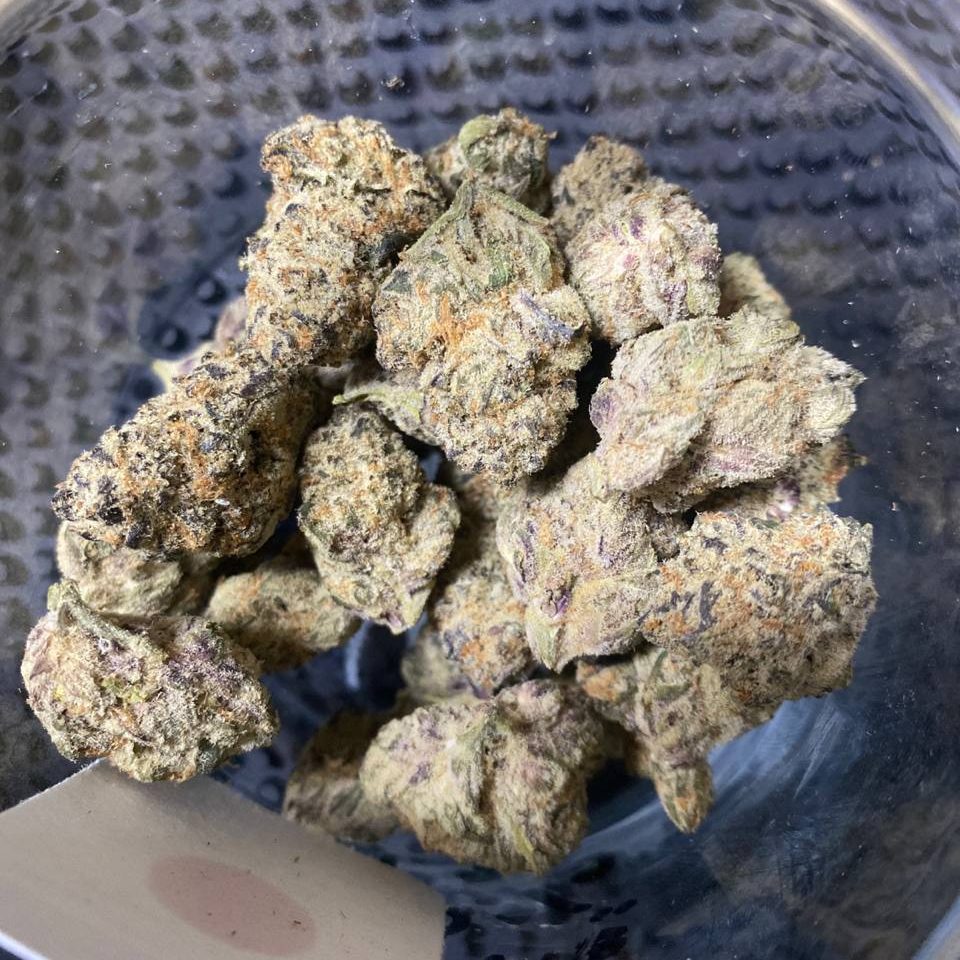 military chocolate military chocolate