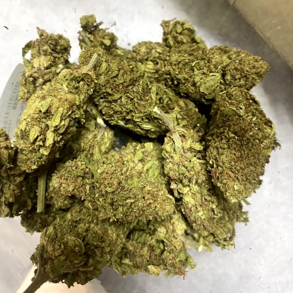 super silver haze outdoor buy in phuket with delivery