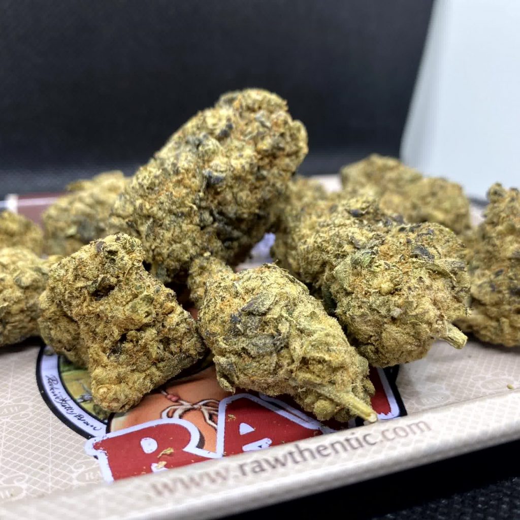 gelato 33