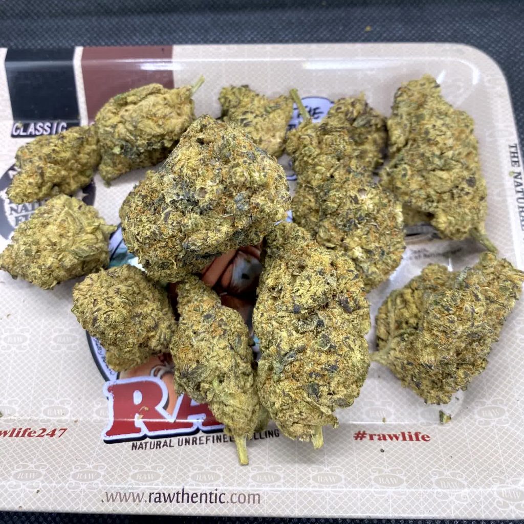 gelato 33 strain