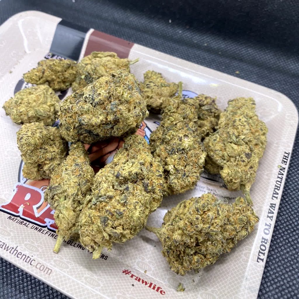 gelato 33 strain phuket