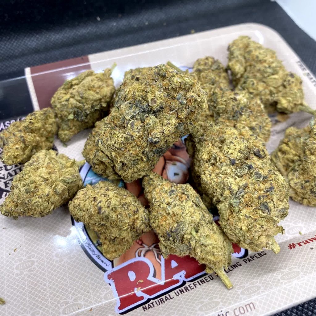 gelato 33 strain thailand