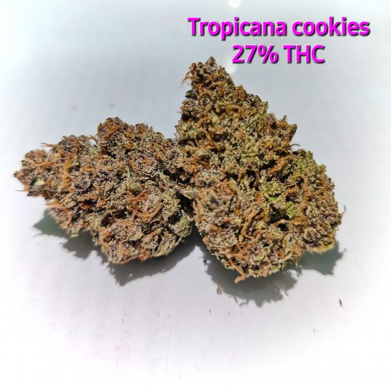 tropicana cookies