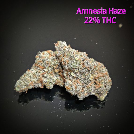 amnezia haze buy in phuket