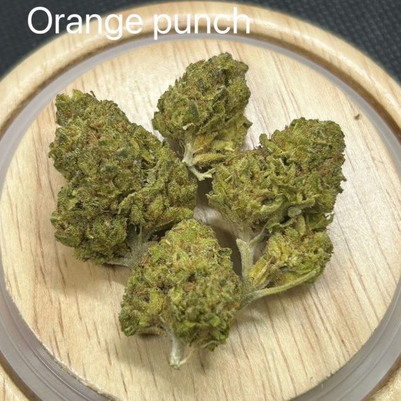 orange punch