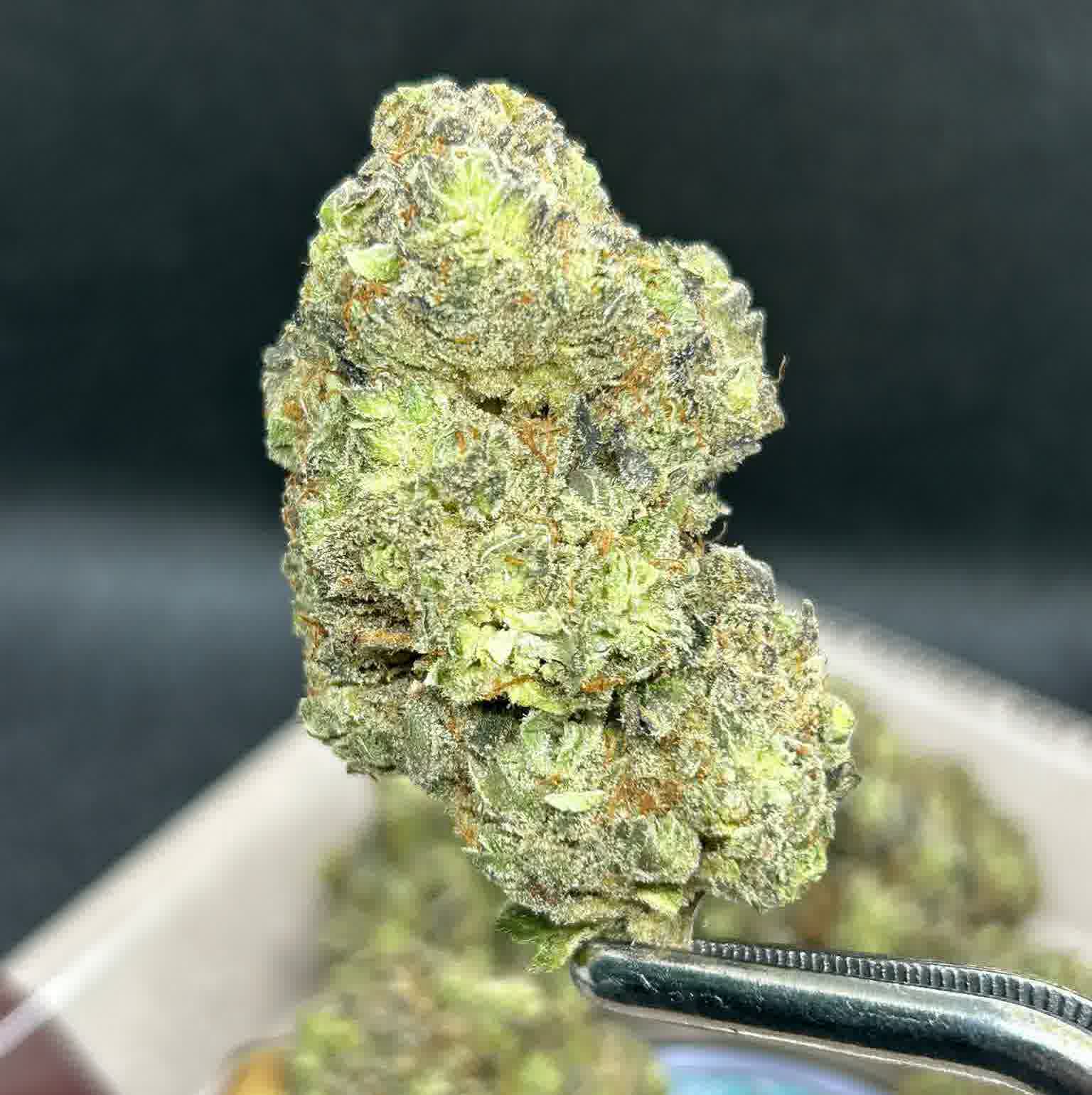 Lemon Acai strain cannabis