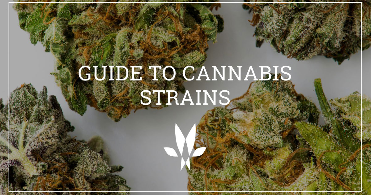 cannabis strains