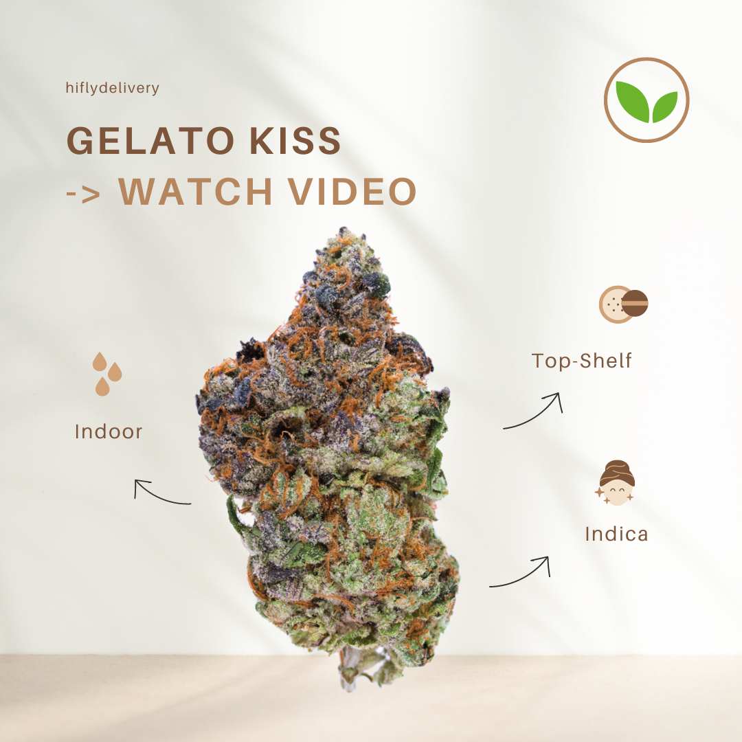 gelato kiss bangkok wholesale weed