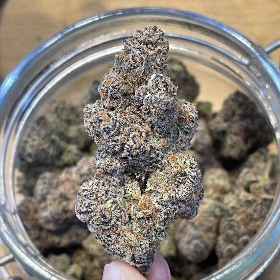 glitter bomb weed strain phuket delivery