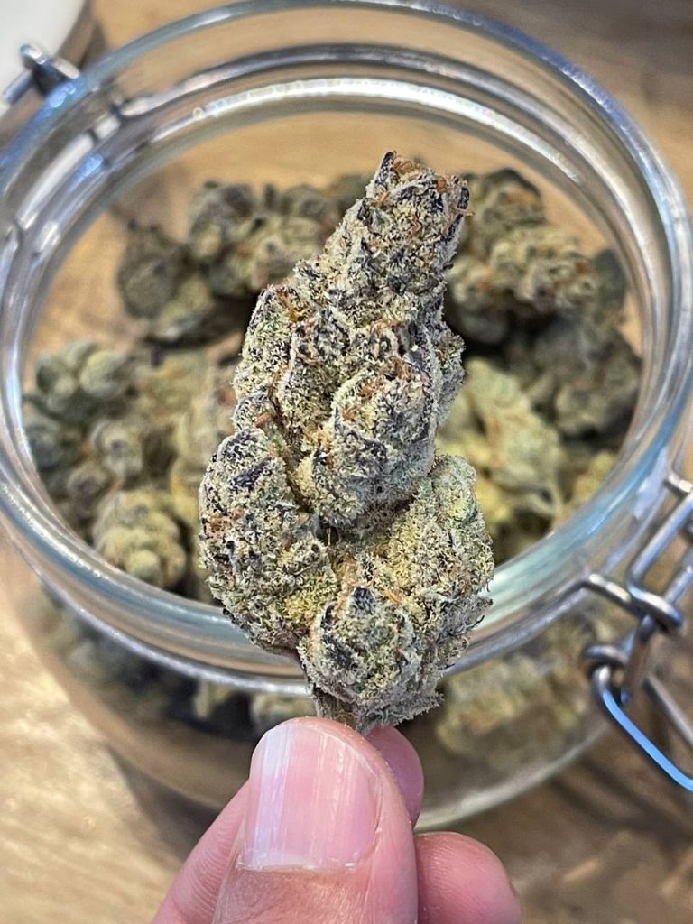grape stank cannabis buy in phuket with 1 hour delivery grape stank cannabis buy in phuket with 1 hour delivery