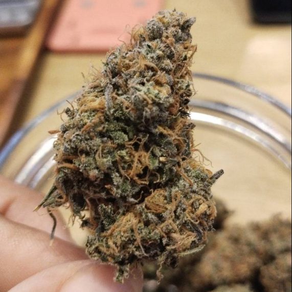 Mac & Jack Thailand For Sale Strain Cannabis