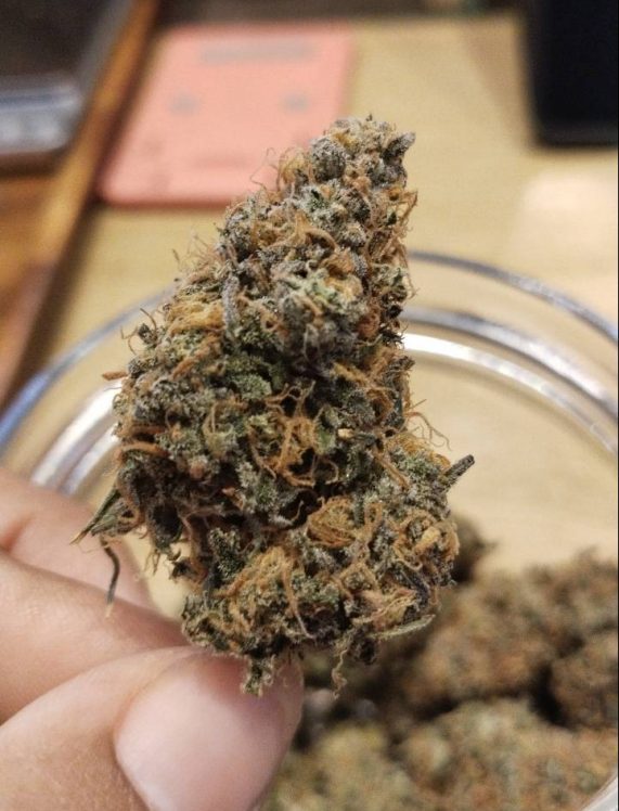 Mac & Jack Thailand For Sale Strain Cannabis