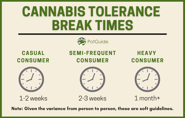 cannabis tolerance time