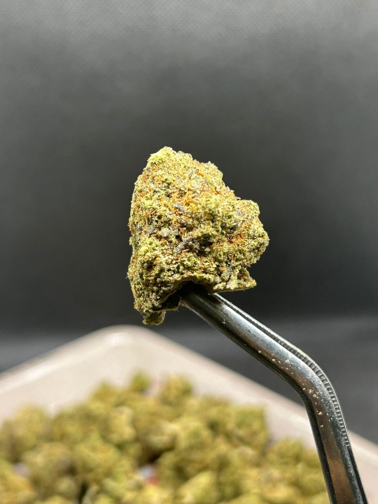 colt 45 strain phuket