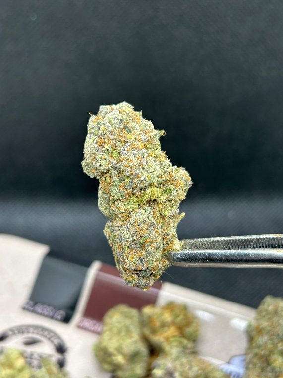 falcon heavy cannabis strain buy in thailand phuket