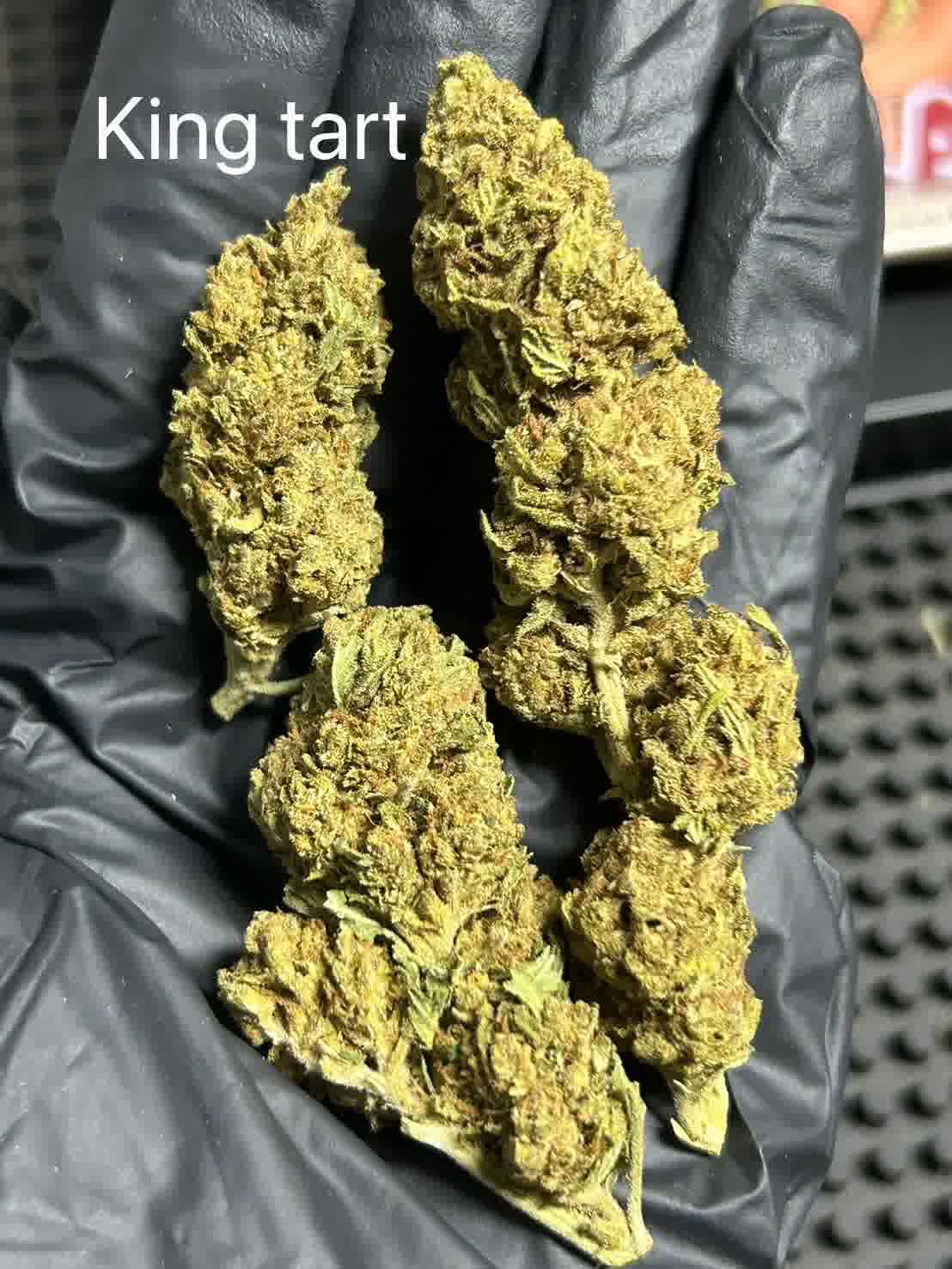 king tart strain phuket