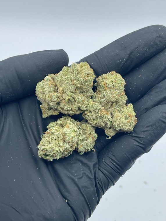 tropical snow strain