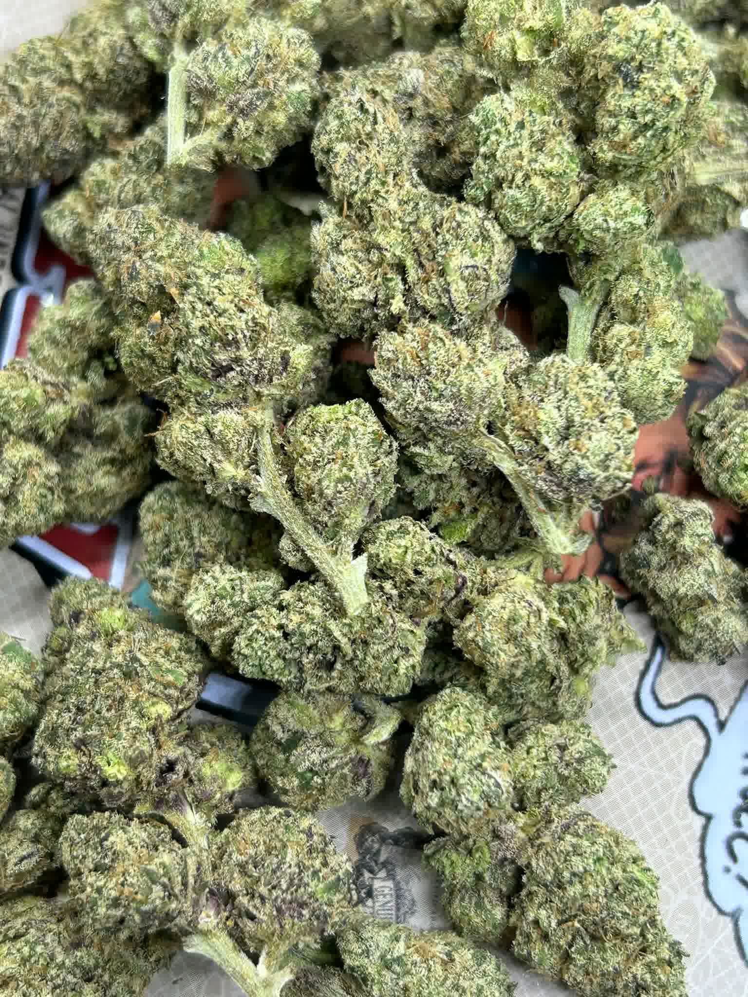 twisted terpz buy in phuket cannabis twisted terpz buy in phuket cannabis