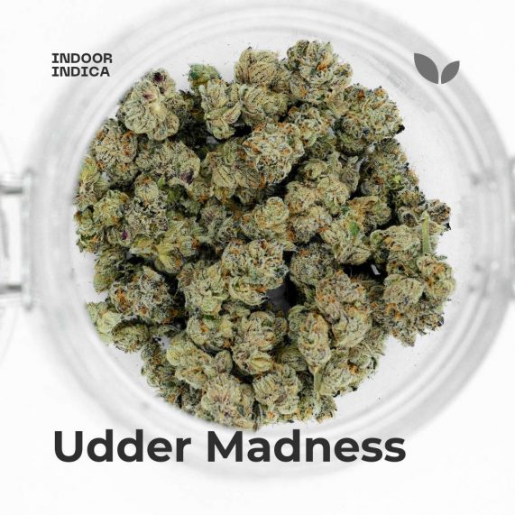 udder madness weed strain phuket