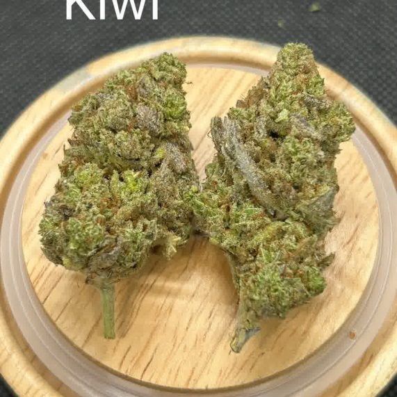 Kiwi strain