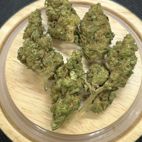 jack herer strain