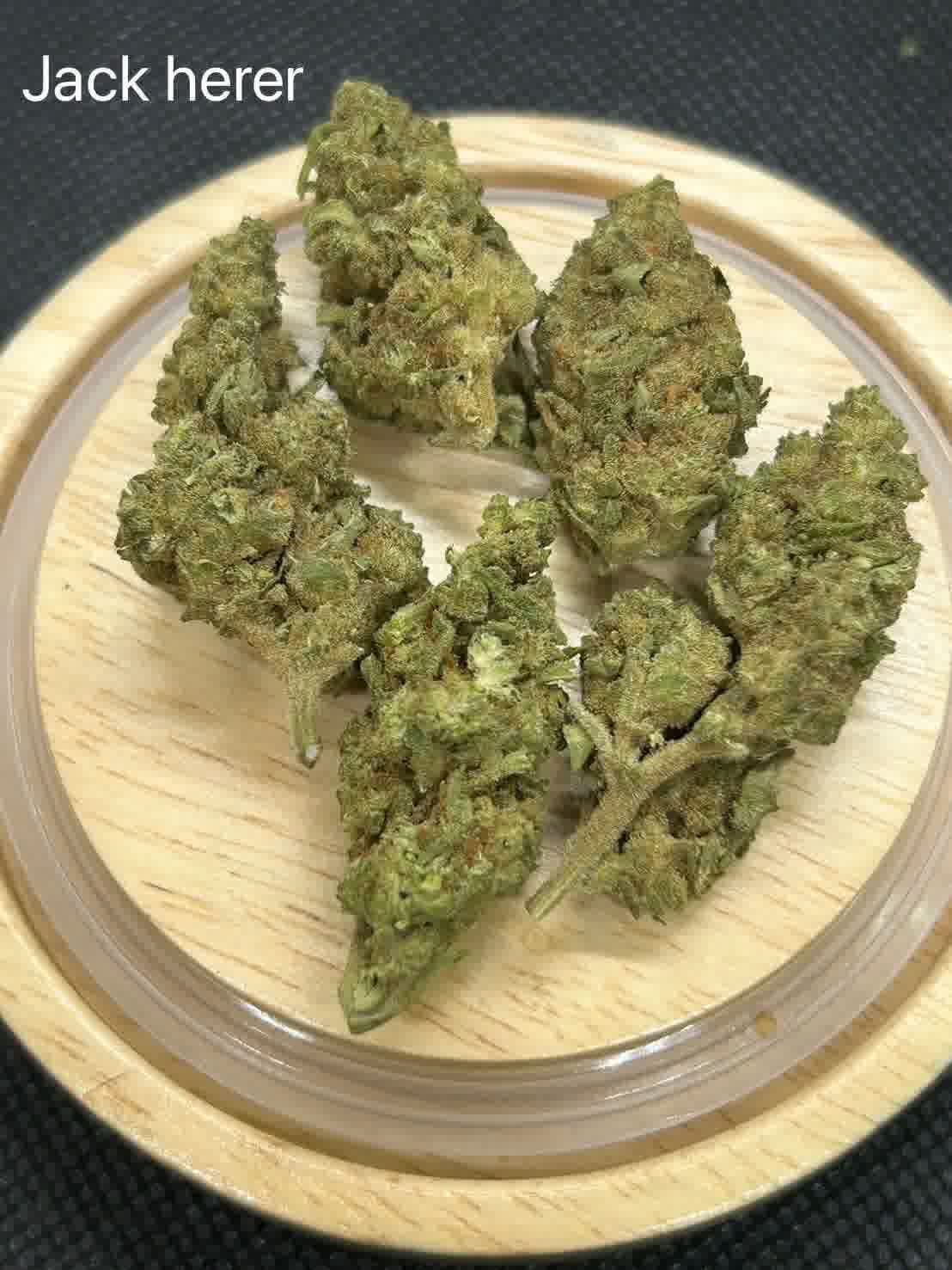 jack herer strain