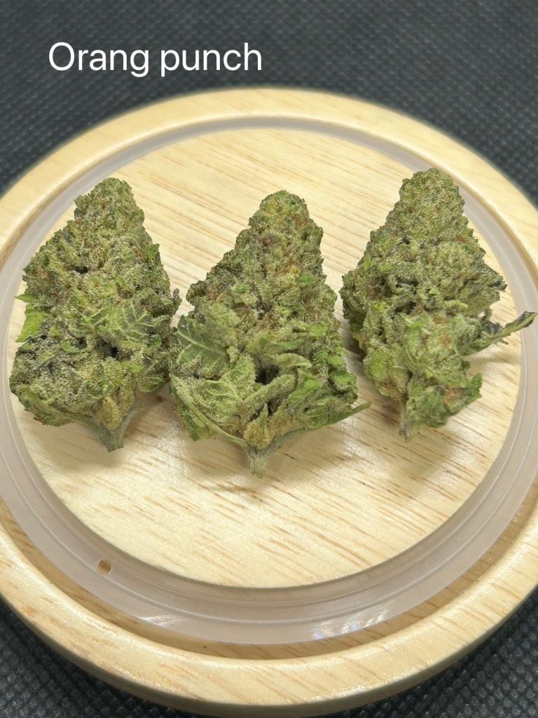 orange punch weed delivery in phuket outdoor 10g orange punch weed delivery in phuket outdoor 10g