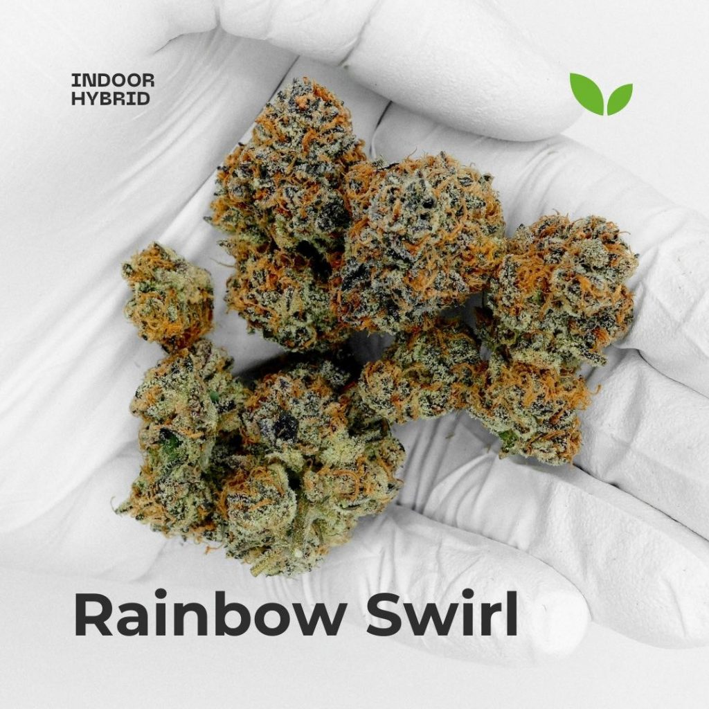 rainbow swirl weed strain rainbow swirl weed strain