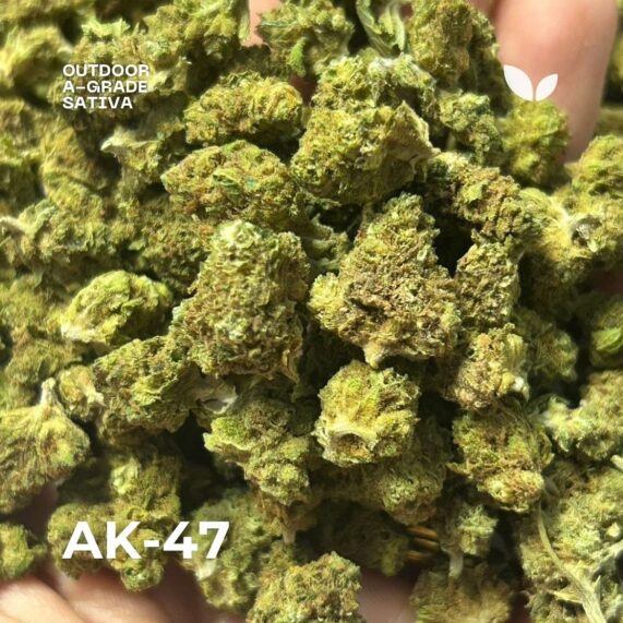 AK-47 outdoor cannabis strain delivery in phuket