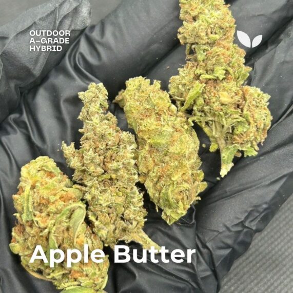 Apple Butter outdoor cannabis strain delivery in phuket