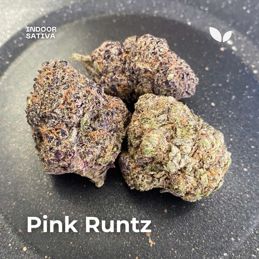 Pink Runtz strain phuket cannabis