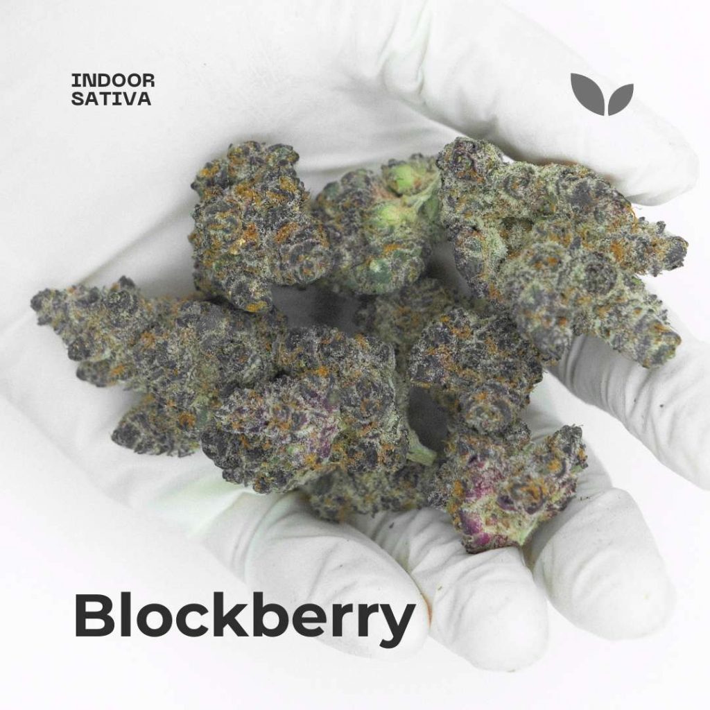 blockberry cannabis delivery in phuket