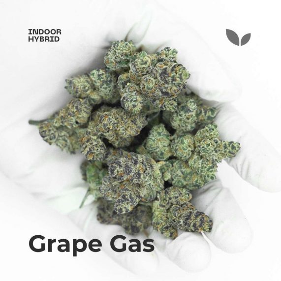 grape gas cannabis delivery phuket