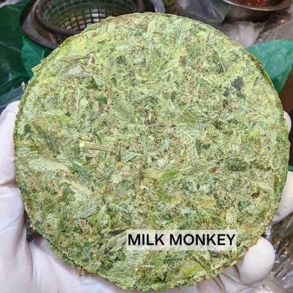 milk monkey 100g bricks weed