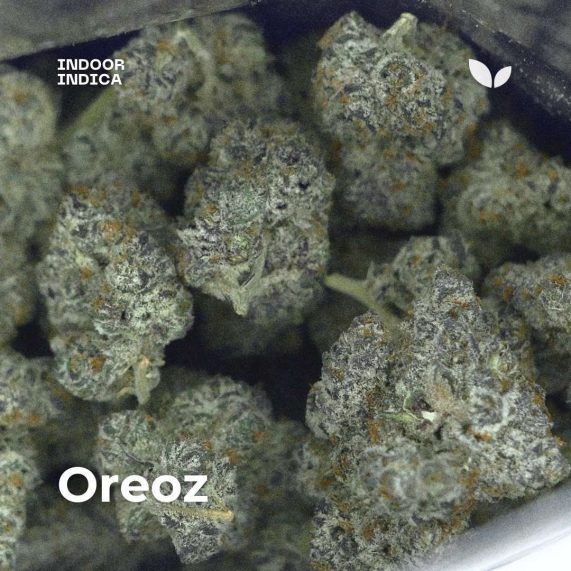 oreoz cannabis strain phuket