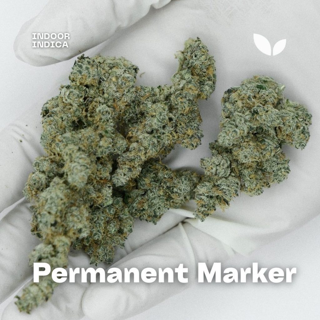 permanent marker cannabis strains delivery phuket