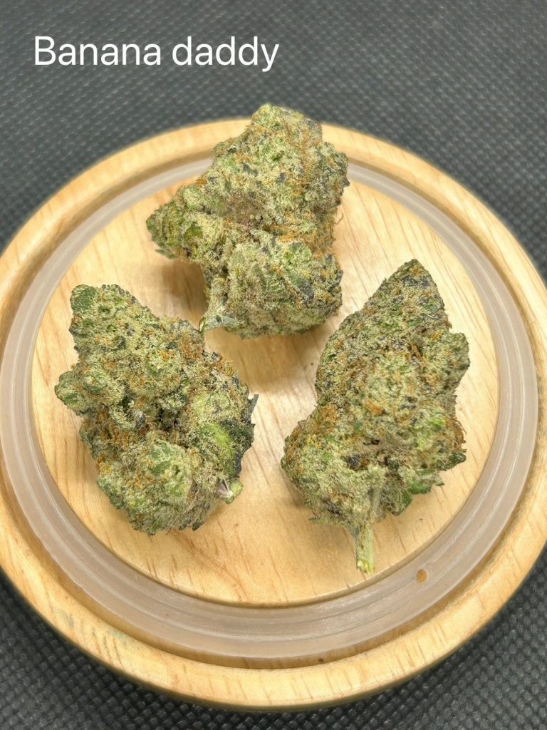 Banana Daddy cannabis phuket indoor pop-size Banana Daddy cannabis phuket indoor pop-size