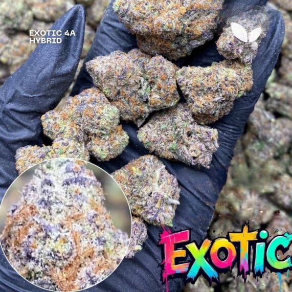 Gummy Bearz strain weed delivery phuket